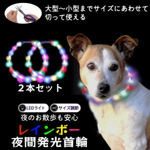 犬 首輪 2個セット くびわ くび輪 光る レインボー カラフル 明るい 目立つ 安全 安心 お散歩 夜間発光 暗い くらい 歩道 車道 自転車