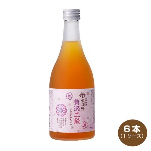 送料無料 鴬宿梅 贅沢二段 14% 500ml×6本 リキュール 合同酒精 国産梅100％使用 鶯宿梅 贅沢梅酒