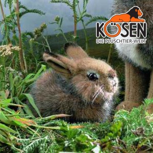 KOESEN ケーセン社 野うさぎの子 5090 〜ドイツ・KOESEN/KOSEN（ケーセン社）の動物のぬいぐるみ。愛らしい表情の兎（うさぎ/ウサギ）の