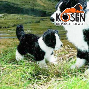 KOESEN ケーセン社 ボーダーコリーの子 4640 〜ドイツ・KOESEN/KOSEN（ケーセン社）の動物のぬいぐるみ。愛らしい表情の犬（イヌ/いぬ）
