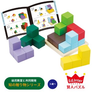 Ed.inter エドインター 賢人パズル 知の贈り物シリーズ ~ 幼児教室と共同開発「考える」楽しさを知る「考える」が好きになるおもちゃ