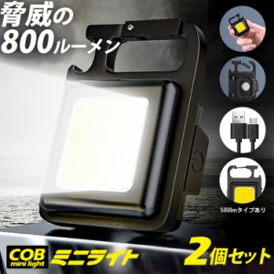 ＼2個セット／ COB LED ライト ミニライト 最強 500lm 懐中電灯 ミニ投光器 小型ライト TypeC 作業灯 投光器 充電式 高輝度 マグネット式