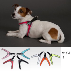 犬 ハーネス 小型犬用 トレ・ポンティ　Fibbia（フィッビア）　1サイズ 