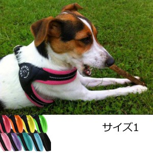 犬 ハーネス 小型犬用 トレ・ポンティ　Fibbia Soft Mesh（フィッビア ソフトメッシュ） 1サイズ 