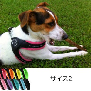 犬 ハーネス 小型犬用 トレ・ポンティ　Fibbia Soft Mesh（フィッビア ソフトメッシュ） 2サイズ 