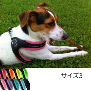 犬 ハーネス 小型犬用 トレ・ポンティ　Fibbia Soft Mesh（フィッビア ソフトメッシュ） 3サイズ 