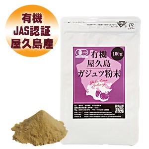 有機屋久島紫ウコン（ガジュツ）粉末（100g ）【 有機JAS 無農薬 有機栽培 】 [M便 1/3]