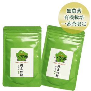 縄文の精 微粉末緑茶（50g ）2袋セット【 無農薬 有機栽培 】 [M便 1/2]