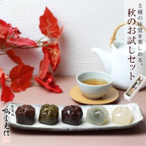 京都・桂 鶴屋光信 父の日 お中元 ギフト 和菓子 化粧箱 5個入 季節の詰合せ 雅 栗羊羹 抹茶羊羹 大和 つぶ羊羹 葛まんじゅう 抹茶 柚子 