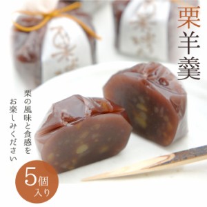 京都・桂 鶴屋光信 父の日 お中元 ギフト 和菓子 化粧箱 5個入 栗羊羹