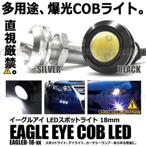 イーグルアイ LED スポットライト 2個セット COB ボルト型 デイライト フォグ カーテシー 外装