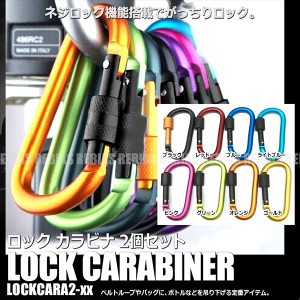 ロック カラビナ Dリング 2個セット キーホルダー キャンプ アウトドア 旅行用品 釣り