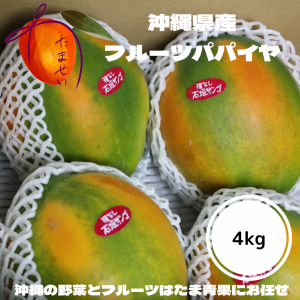 沖縄産 フルーツパパイヤ 約4ｋｇ（4~8個前後） 【発送8月〜2月】 【品種石垣サンゴ】  