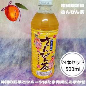 沖縄限定　さんぴん茶　500ml　24本セット