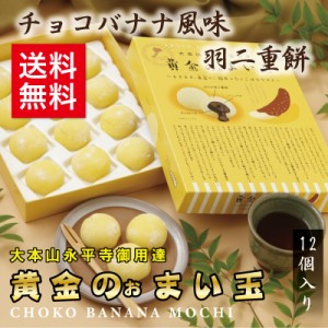 羽二重餅 チョコバナナ風味 【黄金のぉまい玉 12個入】 1000円 ポッキリ 北陸 福井 銘菓 餅 和菓子 スイーツ お菓子 ギフト 贈り物 お土