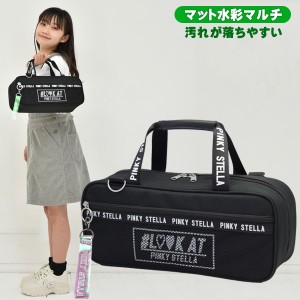 絵の具セット 洋服に付いた絵の具が落ちやすい サクラ マット水彩マルチ 女の子 小学生 コンパクト 画材セット ピンキーステラ ブラック 