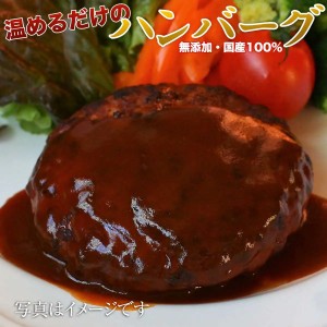 温めるだけハンバーグ 10個セット　レンジOK 自宅用 一人暮らし　祝い　お惣菜　【ギフト】レンチン【肉の日！ポイント還元実施中！２と