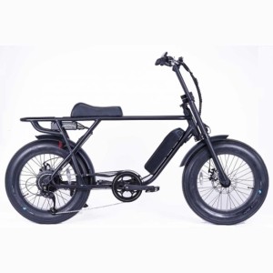 電動アシスト自転車 BRONX BUGGY-20 マットブラック e-BIKE Ｅバイク 公道可 東京 神奈川 埼玉 千葉 地域限定販売 ファットバイク 20イン