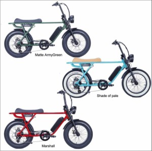 送料無料 期間限定 電動アシスト自転車 BRONX BUGGY-20 ニューカラー e-BIKE Ｅバイク 公道可 東京 神奈川 埼玉 千葉 地域限定販売 ファ