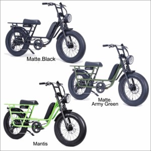 送料無料 期間限定 電動アシスト自転車 BRONX BUGGY-20 STRETCH e-BIKE Ｅバイク 公道可 チャイルドシート搭載可 東京・神奈川・埼玉・千