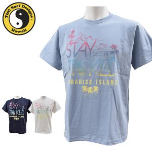 ティーアンドシーサーフデザイン t&c surf designs タウン&カントリー Tシャツ メンズ 半袖 綿 DM2089 メール便も対応