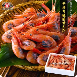 子持ち越前甘えび500g/約40尾入り食べ放題！【エビ】【えび】【海老】【あまえび】【アマエビ】【甘エビ】 手巻き寿司 寿司ケーキ カップ