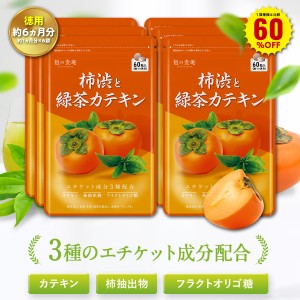 1袋単価比較で60％OFF！【徳用/約6ヵ月分】柿渋＆緑茶カテキン サプリ （約1ヵ月分×6袋） 柿タンニン フルクタオリゴ糖 ナタ豆茶粉末 香