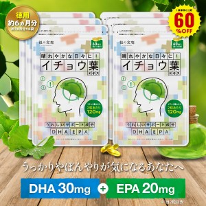 ＼【徳用】180日分まとめ買い60％OFF！／イチョウ葉 サプリ 約1ヵ月分 送料無料 DHA EPA ビタミンE イチョウの葉 いちょう葉