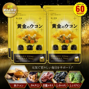 ＼【徳用】180日分まとめ買い60％OFF！／違いが分かる黄金配合 ウコン サプリ 約1ヶ月分 送料無料 お酒 サプリ サプリメント うこん 秋ウ