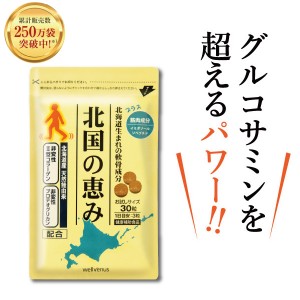 【楽天ランキング1位】 プロテオグリカン 2型コラーゲン ヒアルロン酸 配合 グルコサミン を超える 新軟骨成分配合サプリメント 北国の恵