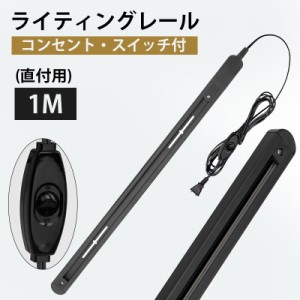 ダクトレール コンセント式  直付けタイプ ライティングレール ライティングバー 1M 配線ダクトレール 直付タイプ レール 照明用 レール