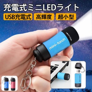 【2点セット】懐中電灯 ミニ懐中電灯 USB充電式ライト 防災 小型 ミニ 軽量 キーホルダー ポケットライト 高輝度LED 持ち運び アウトドア