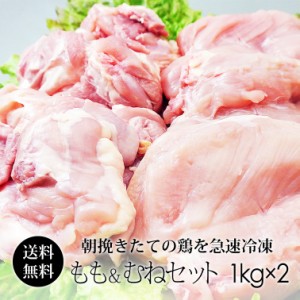 鶏肉 紀の国みかんどり 2kgセット (もも肉 ＆ むね肉) (冷凍) 和歌山県産 国産 送料無料 業務用 鶏モモ肉 ムネ肉