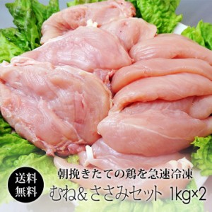 鶏肉 紀の国みかんどり 2kgセット (むね肉 ＆ ささみ) (冷凍) 国産 和歌山県産 鶏ムネ肉 ササミ 送料無料