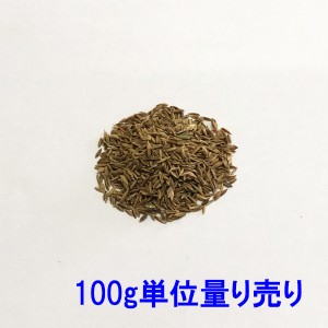 種子 ケンタッキーブルーグラス ヌーブループラス 100g