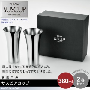 ビアカップ 380ml 2個セット 箱入り ステンレス 保冷 タンブラー 日本製 燕三条 ビール コップ グラス カップ 冷酒 酒