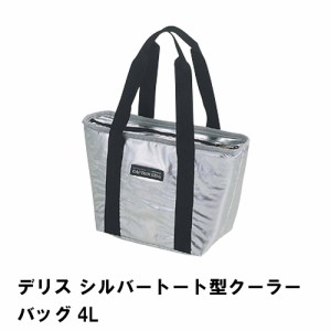 保冷バッグ 4L 小型 トート型 クーラーバッグ 幅30 奥行12.5 高さ19 コンパクト 収納 便利 おしゃれ アウトドア キャンプ 保存