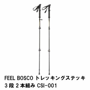 ステッキ 杖 登山 トレッキング スライド式 3段 2本組 長さ95-125 軽量 アルミ製 伸縮 持ち運び 便利 おしゃれ 2本セット