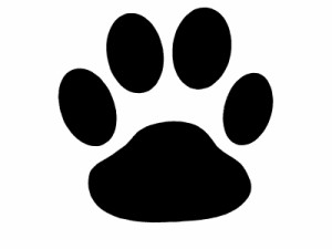 　[肉球]　ステッカー８枚セット 動物ステッカー 犬ステッカー 猫ステッカー 車ステッカー 車シール 車デカール Wowma!