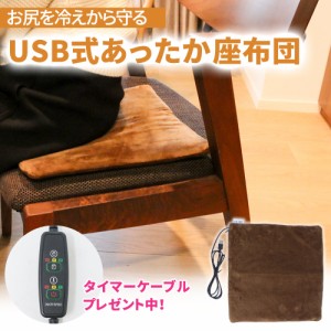 【プレゼント付き】あったかグッズ USB クッション 電気 座布団 ホットクッション ヒーター ホットマット 電気マット ウォーム あったか 