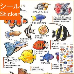 KAMIO JAPAN ｶﾐｵｼﾞｬﾊﾟﾝ ｼｰﾙ ･ PM大人の図鑑ｼｰﾙ 熱帯魚 ｼｰﾙ帳 福袋 丸 おしゃれ ｱﾙﾊﾞﾑ