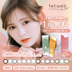 フェリアモ ワンデー ２箱購入 +１箱プレゼント  白石麻衣 1DAY 1箱10枚入り  feliamo 1day カラコン