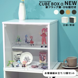 2個セットCUBE BOX α NEW 新フラップ扉ひな壇付きおしゃれ ひな壇付き 透明扉 カラーボックス 収納 木製 キューブボックスα 安い