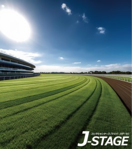 【J-STAGE スタンダード レギュラータイプ専用 背面デザインシート】 競馬場 馬場 ダービー 背景 風景 ダート レース  風景