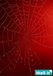【Wall.it A4 フィギュアディスプレイケース専用背面デザインシート 縦向】 スパイダーネット 赤 蜘蛛の巣