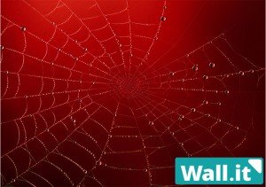 【Wall.it A4 フィギュアディスプレイケース専用背面デザインシート 横向】 スパイダーネット 赤 蜘蛛の巣