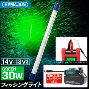 HEMAJUN(ヘマジュン)集魚灯 30w 14-18V バッテリー専用 3600ルーメン IP68防水 電動リールバッテリー 電動リールバッテリー対応 LED グリ