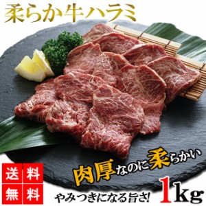 ハラミ 1kg 送料無料 牛ハラミ やわらかハラミ ハラミ肉 牛肉 肉 焼き肉 BBQ バーベキュー グルメ メーカー直送 shr-003