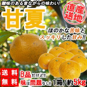 甘夏 訳あり 5kg 送料無料 みかん 蜜柑 ご家庭用 箱買い B品 サイズミックス 柑橘 フルーツ 果物 産地直送 愛媛県産 YDF-014