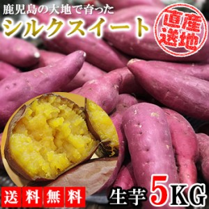 シルクスイート さつまいも 5kg 送料無料 産地直送 産直 土付き さつま芋 薩摩芋 焼きいも 焼き芋 石焼き芋 芋 いも イモ 鹿児島県産 FJK